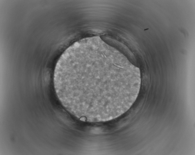 X0000113230412200910221043