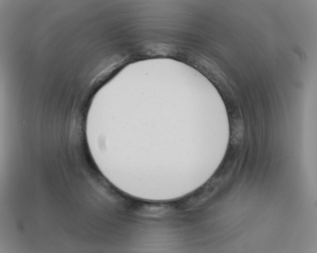 X0000113230414200910221043