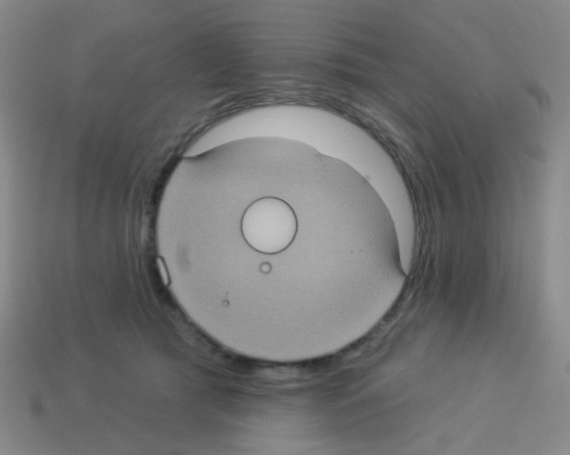 X0000113230417200910221043