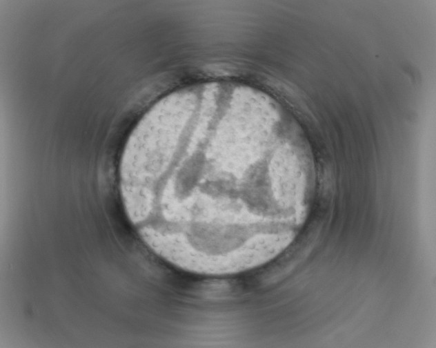 X0000113230418200910221043