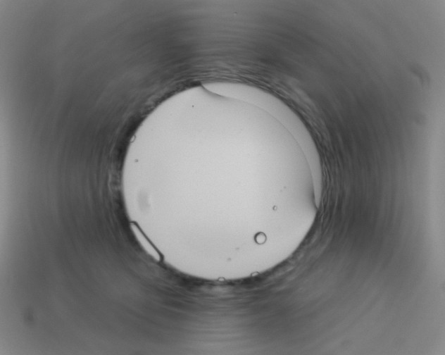 X0000113230419200910221043