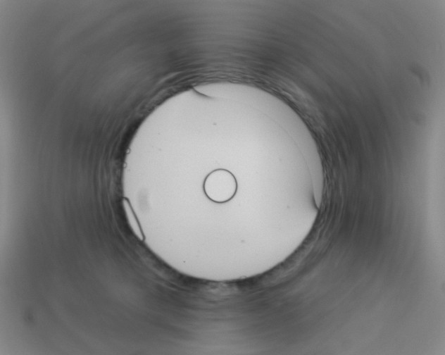 X0000113230421200910221043