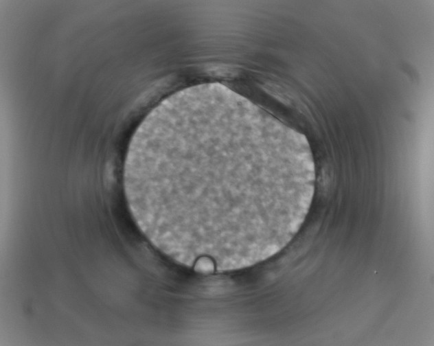 X0000113230424200910221043