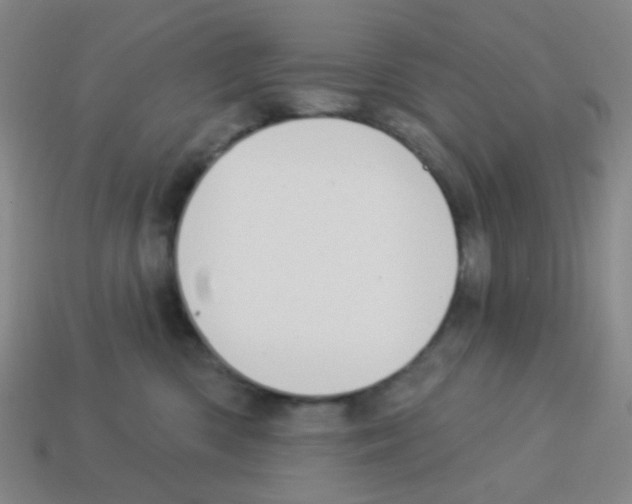 X0000113230426200910221043