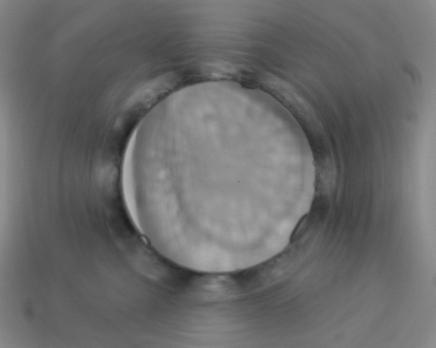 X0000113230427200910221043