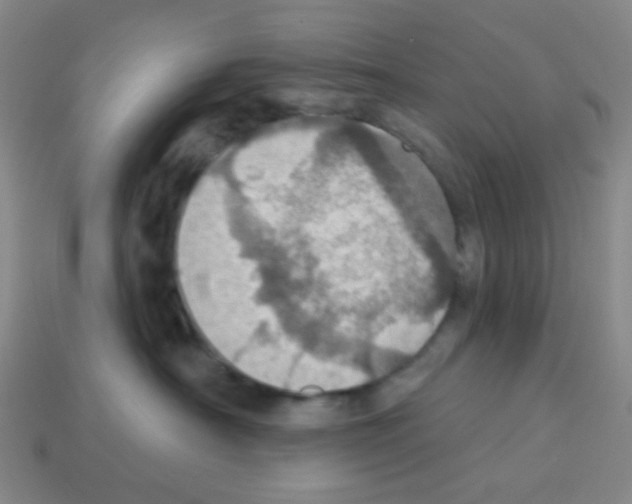 X0000113230430200910221043