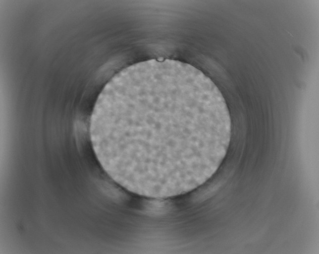 X0000113230432200910221043