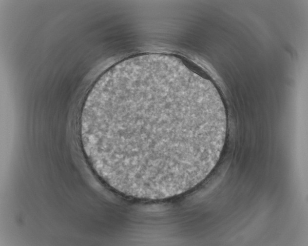 X0000113230433200910221042