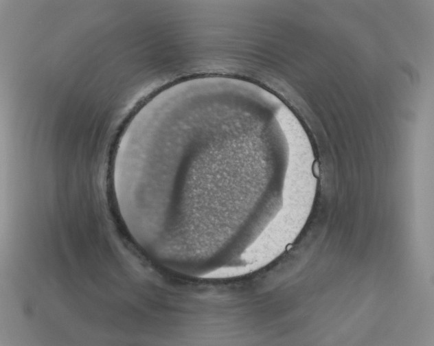 X0000113230434200910221042