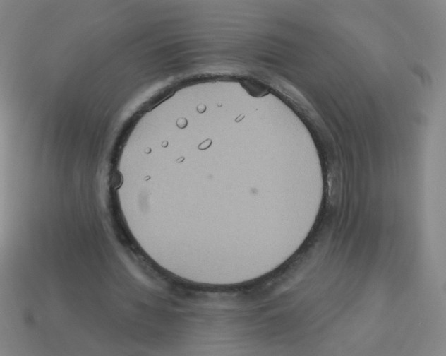 X0000113230436200910221042