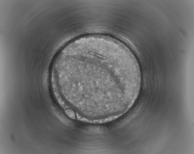 X0000113230439200910221042