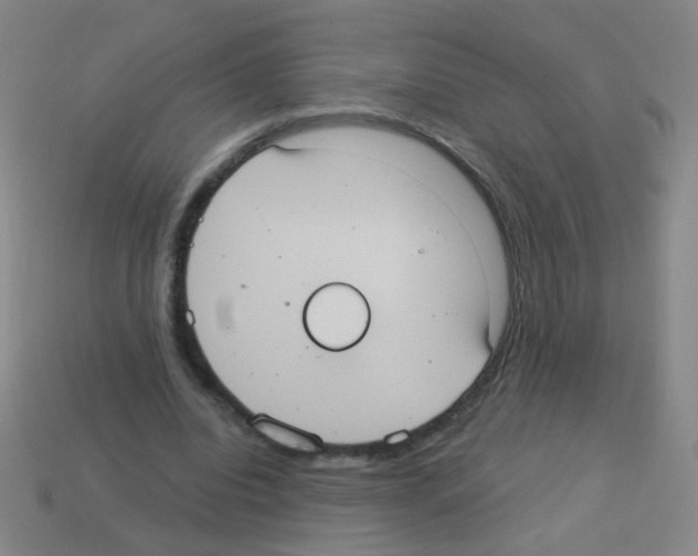 X0000113230440200910221042