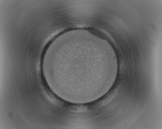 X0000113230443200910221042