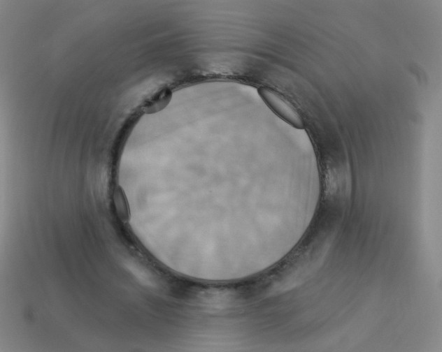 X0000113230444200910221042