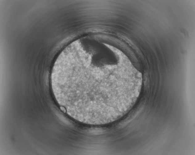 X0000113230445200910221042