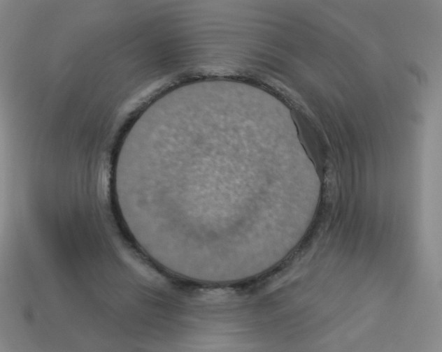 X0000113230446200910221042