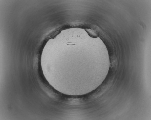 X0000113230448200910221042