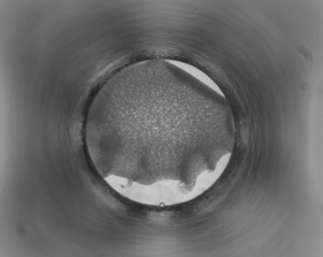 X0000113230450200910221042