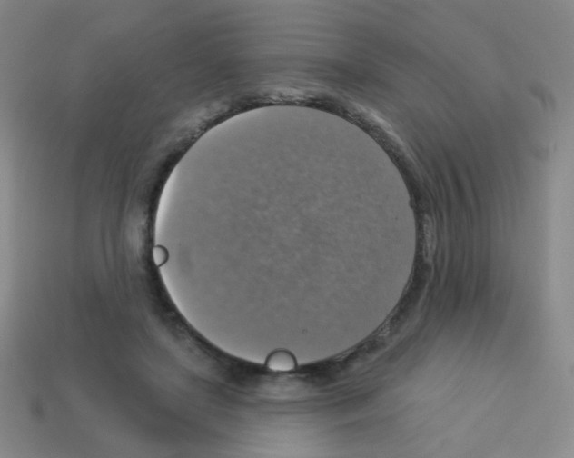 X0000113230451200910221042