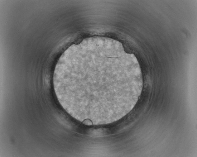 X0000113230452200910221042