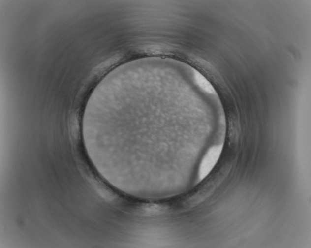 X0000113230453200910221042