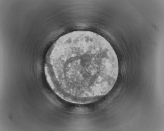 X0000113230455200910221043