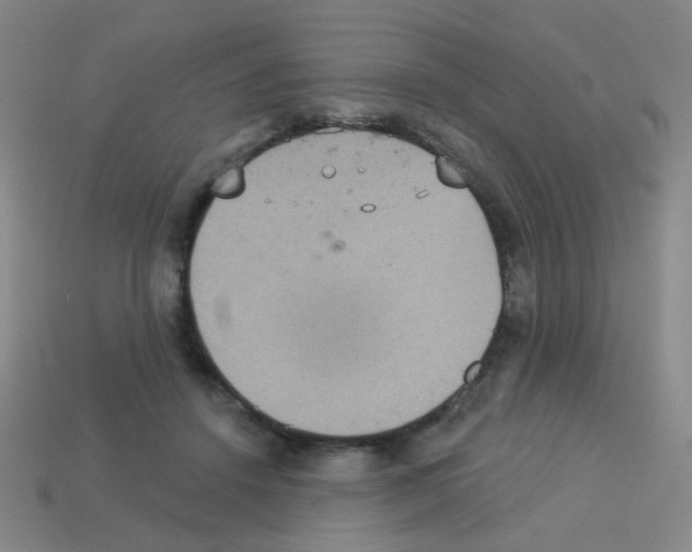 X0000113230456200910221043