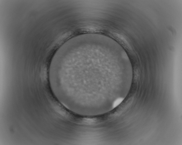 X0000113230457200910221043