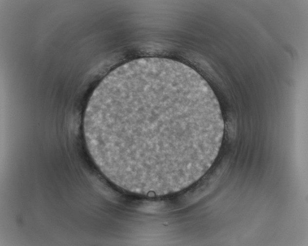 X0000113230458200910221043