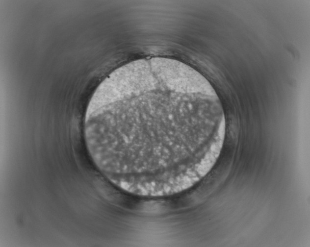 X0000113230461200910221043