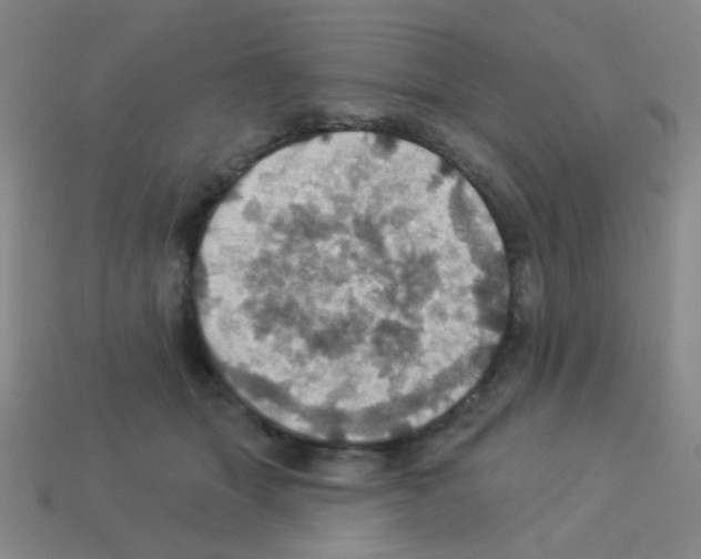 X0000113230463200910221043