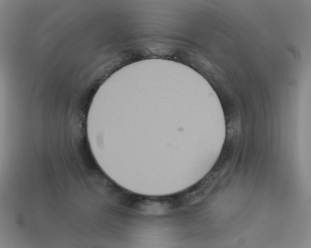 X0000113230464200910221043