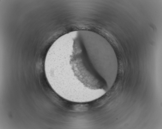 X0000113230465200910221043