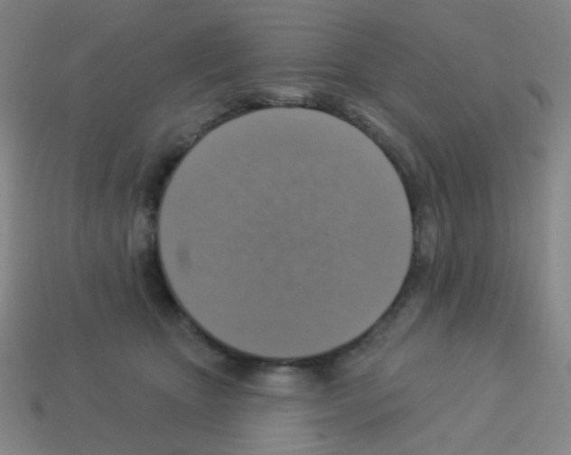 X0000113230467200910221043