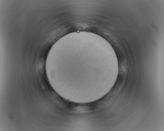 X0000113230468200910221043