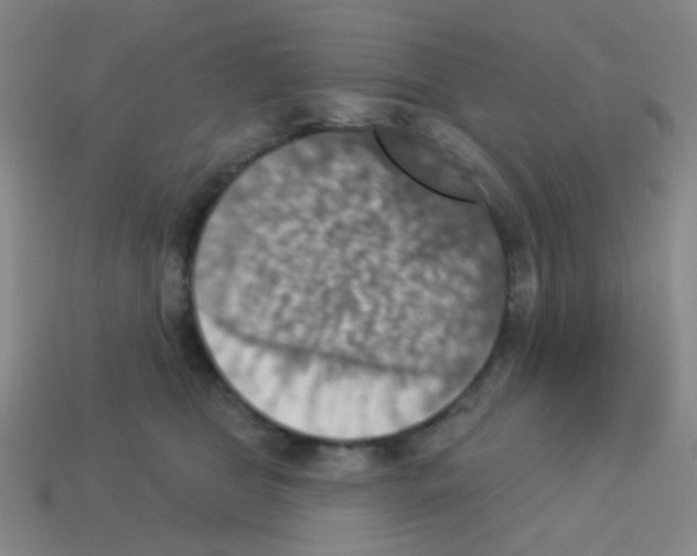 X0000113230469200910221043