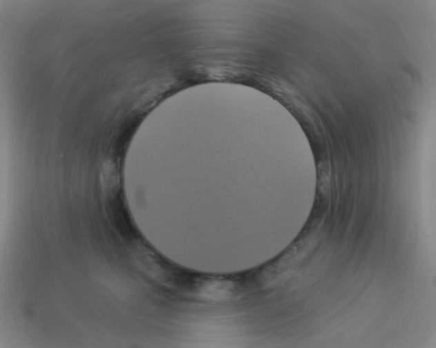 X0000113230471200910221043