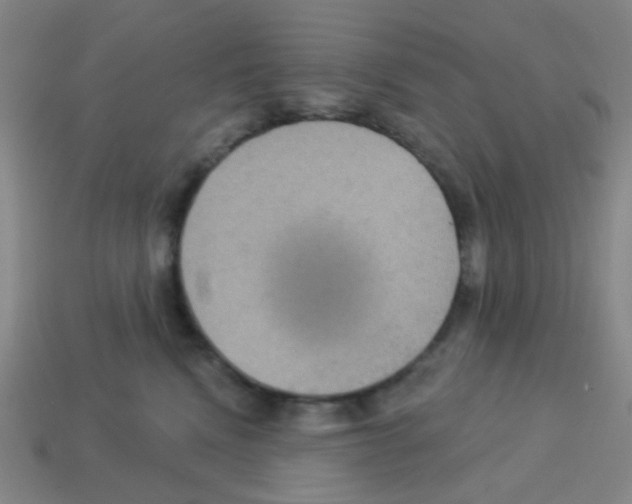 X0000113230472200910221043