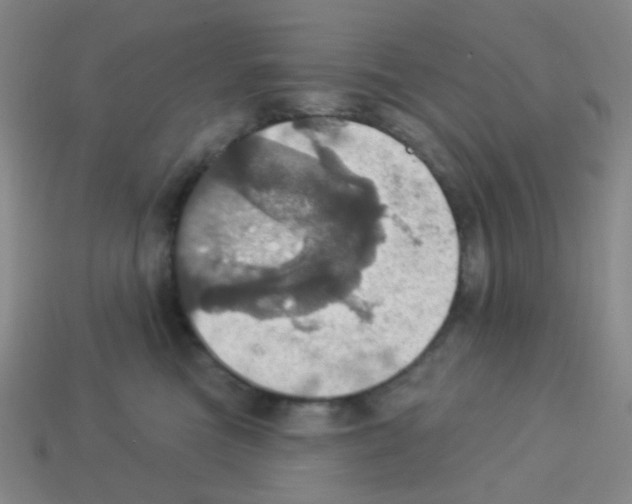 X0000113230473200910221043