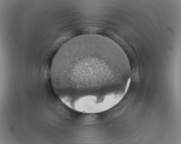 X0000113230474200910221043