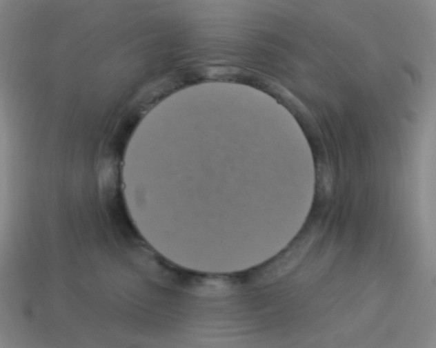 X0000113230475200910221043