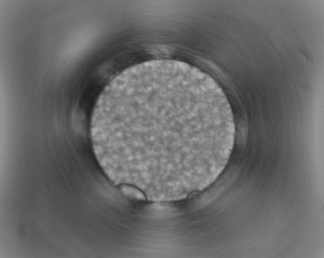 X0000113230477200910221043