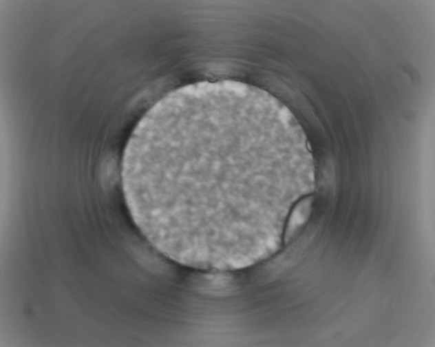 X0000113230478200910221043