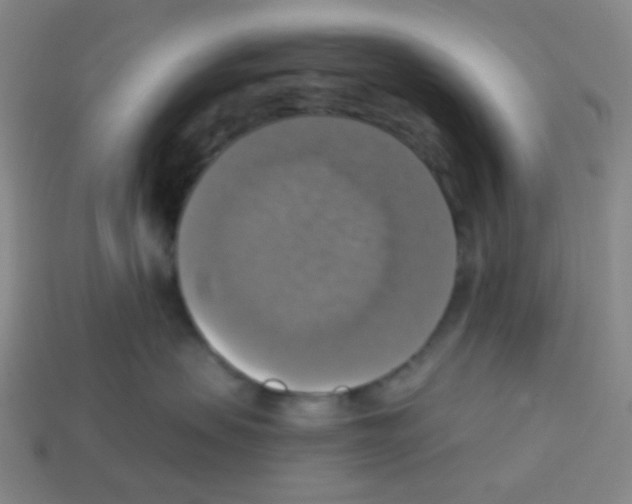 X0000113230479200910221043