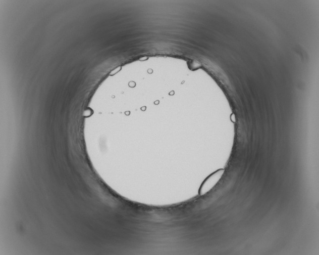 X0000113230481200910221042