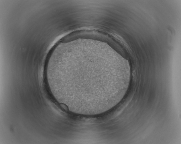 X0000113230484200910221042