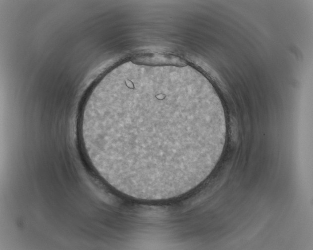 X0000113230486200910221042