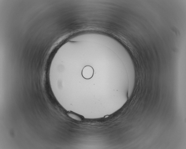 X0000113230488200910221042