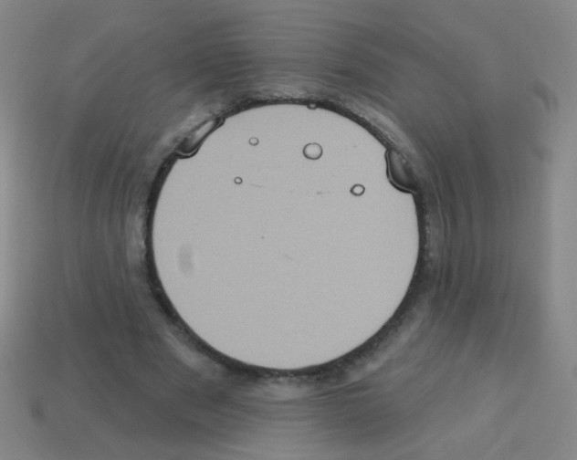 X0000113230489200910221042