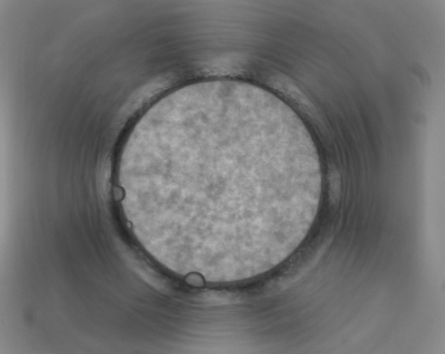 X0000113230490200910221042